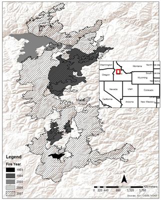 Fuel Dynamics Following Wildfire in US Northern Rockies Forests